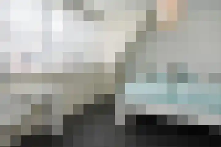 Sneekermeerplantsoen 44 Berkel en Rodenrijs thumbnail 21