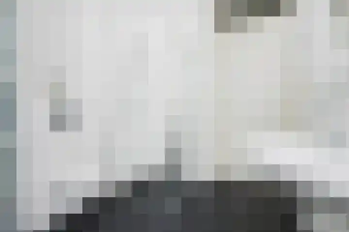 Sneekermeerplantsoen 44 Berkel en Rodenrijs thumbnail 26