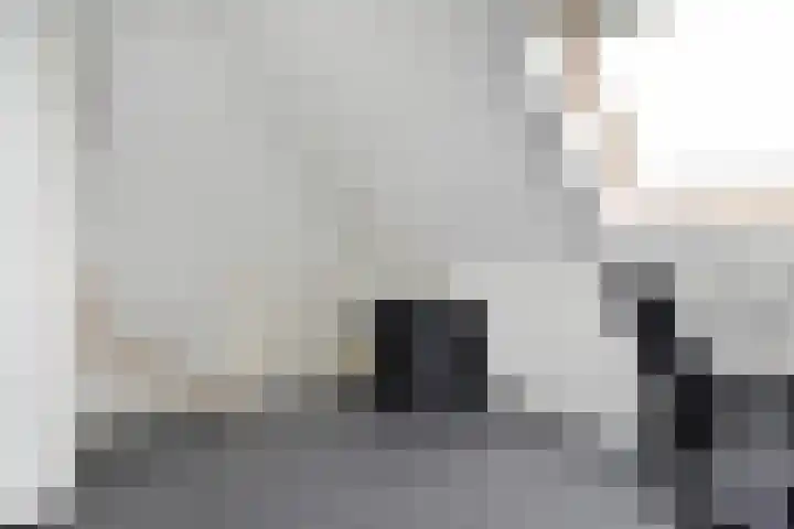 Sneekermeerplantsoen 44 Berkel en Rodenrijs thumbnail 27