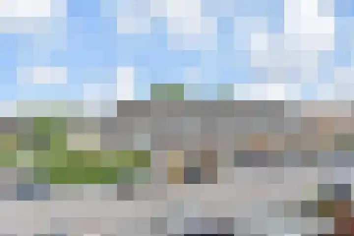 Sneekermeerplantsoen 44 Berkel en Rodenrijs thumbnail 29