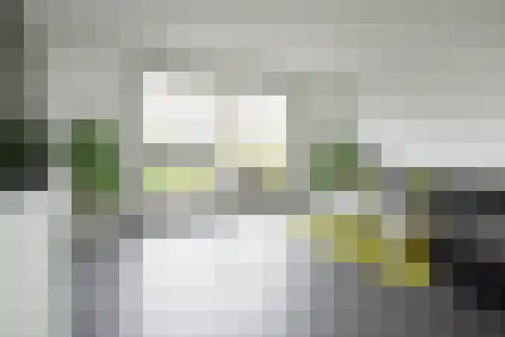 Sneekermeerplantsoen 44 Berkel en Rodenrijs foto 3