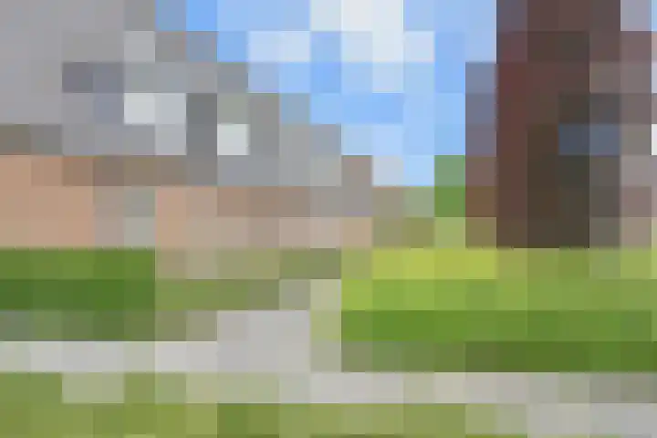 Sneekermeerplantsoen 44 Berkel en Rodenrijs thumbnail 32