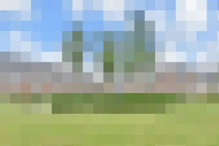 Sneekermeerplantsoen 44 Berkel en Rodenrijs thumbnail 33