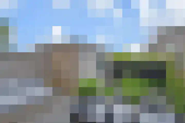 Sneekermeerplantsoen 44 Berkel en Rodenrijs thumbnail 4