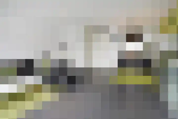 Sneekermeerplantsoen 44 Berkel en Rodenrijs thumbnail 8