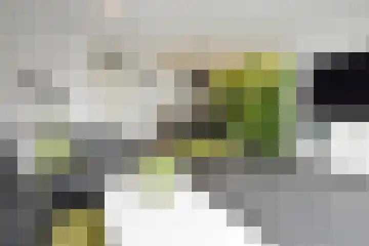 Sneekermeerplantsoen 44 Berkel en Rodenrijs thumbnail 9