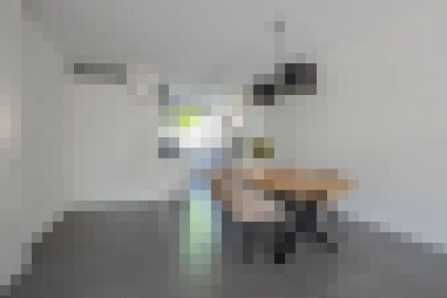 Sneekermeerplantsoen 6 Berkel en Rodenrijs thumbnail 11