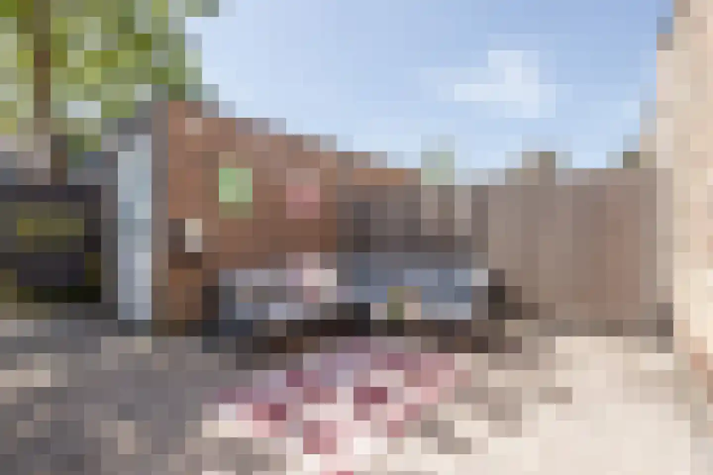 Sneekermeerplantsoen 6 Berkel en Rodenrijs thumbnail 31