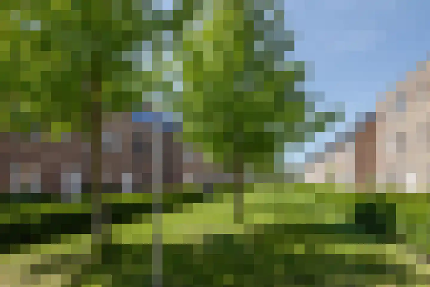 Sneekermeerplantsoen 6 Berkel en Rodenrijs thumbnail 40