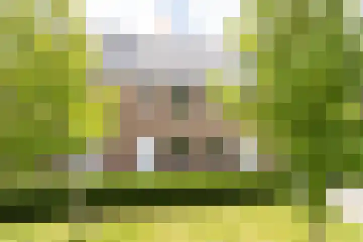 Sneekermeerplantsoen 8 Berkel en Rodenrijs
