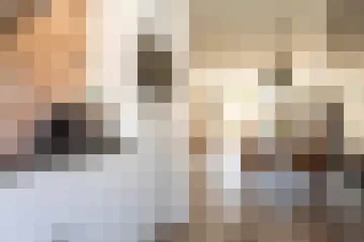 Sneekermeerplantsoen 8 Berkel en Rodenrijs thumbnail 14