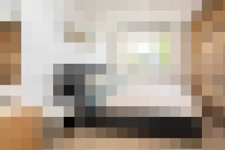 Sneekermeerplantsoen 8 Berkel en Rodenrijs thumbnail 17