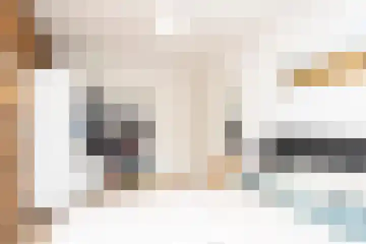 Sneekermeerplantsoen 8 Berkel en Rodenrijs thumbnail 18