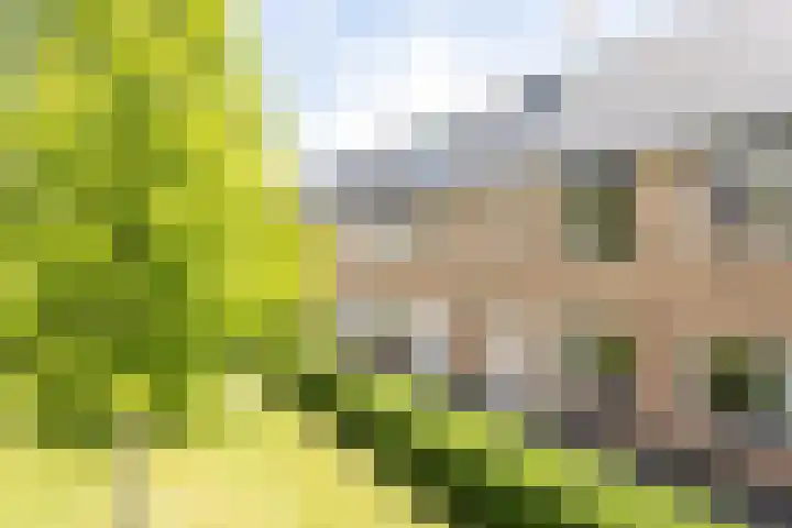 Sneekermeerplantsoen 8 Berkel en Rodenrijs foto 2