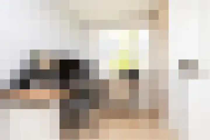 Sneekermeerplantsoen 8 Berkel en Rodenrijs thumbnail 20