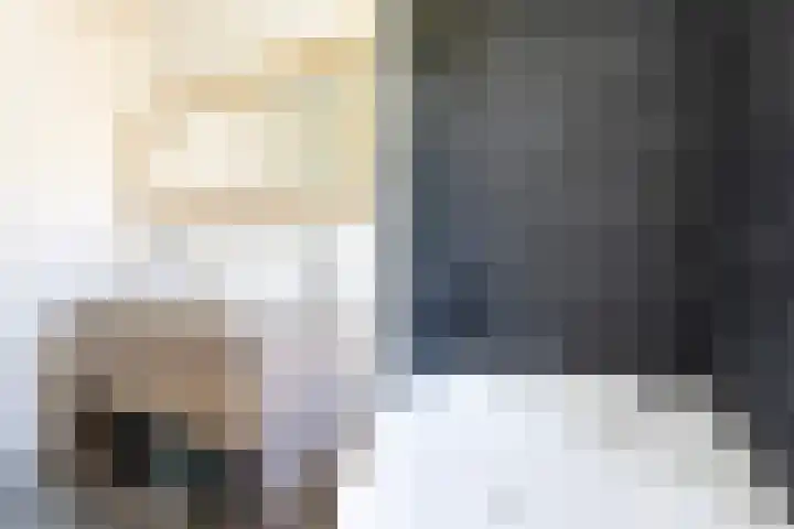 Sneekermeerplantsoen 8 Berkel en Rodenrijs thumbnail 24