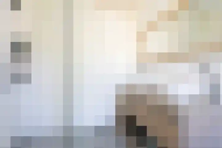 Sneekermeerplantsoen 8 Berkel en Rodenrijs thumbnail 25