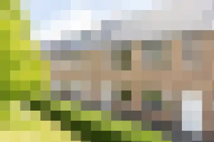 Sneekermeerplantsoen 8 Berkel en Rodenrijs foto 3
