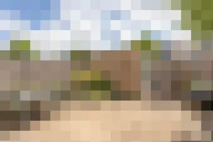 Sneekermeerplantsoen 8 Berkel en Rodenrijs thumbnail 33