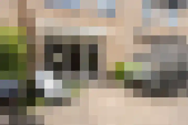 Sneekermeerplantsoen 8 Berkel en Rodenrijs thumbnail 36