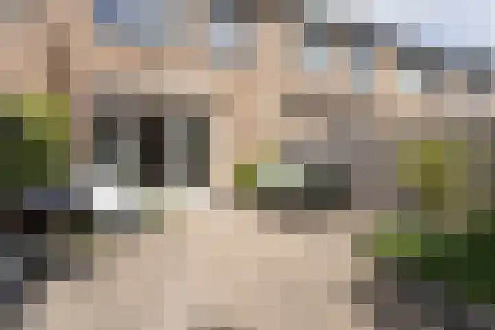 Sneekermeerplantsoen 8 Berkel en Rodenrijs thumbnail 37