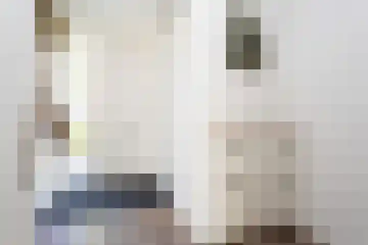 Sneekermeerplantsoen 8 Berkel en Rodenrijs thumbnail 5