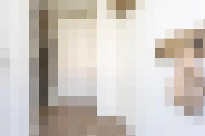 Sneekermeerplantsoen 8 Berkel en Rodenrijs thumbnail 6