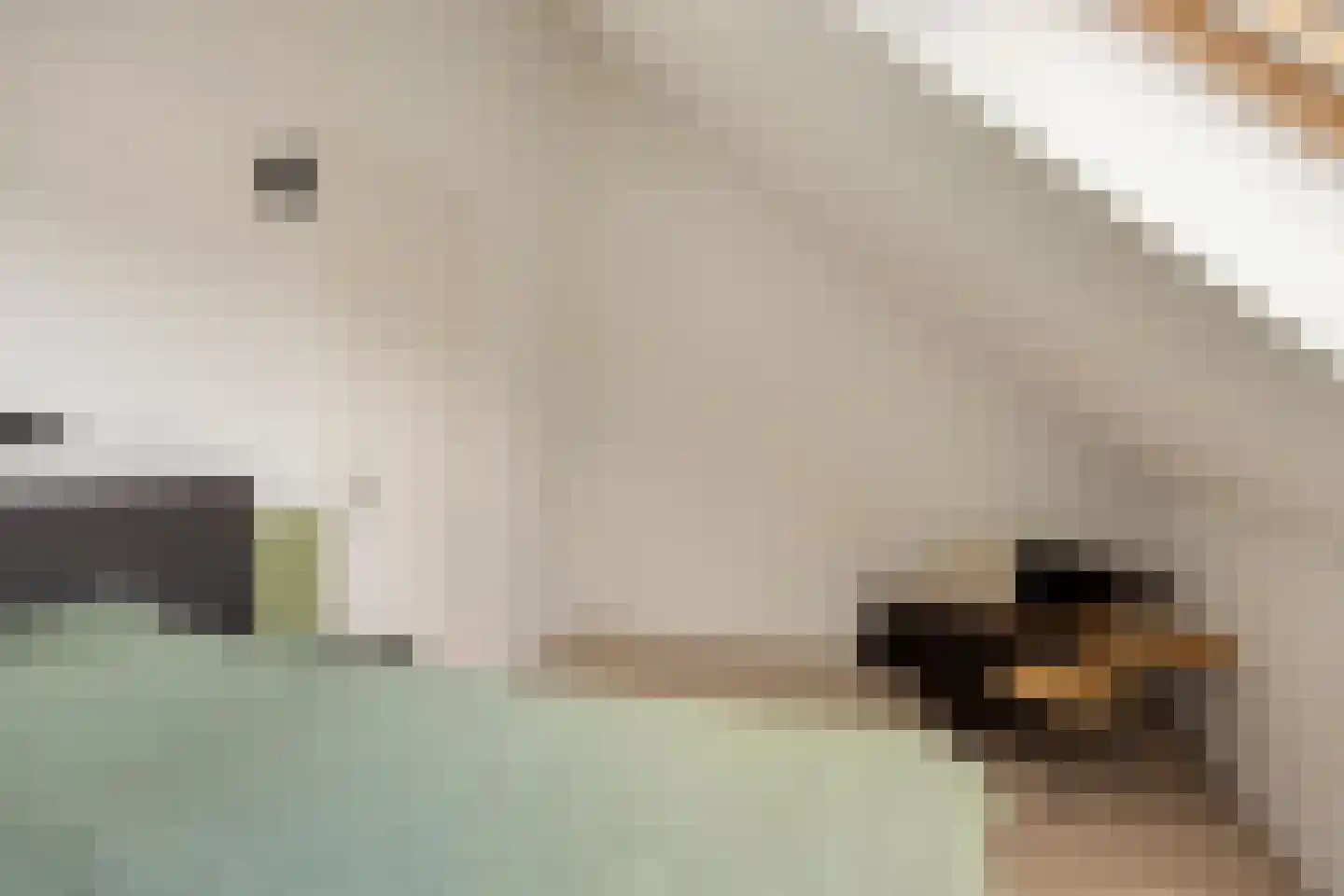 Sneekermeerplantsoen 9 Berkel en Rodenrijs thumbnail 19
