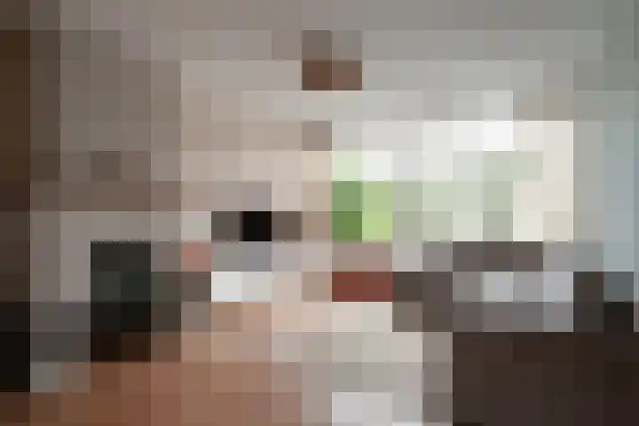 Sneekpad 30 Arnhem thumbnail 10