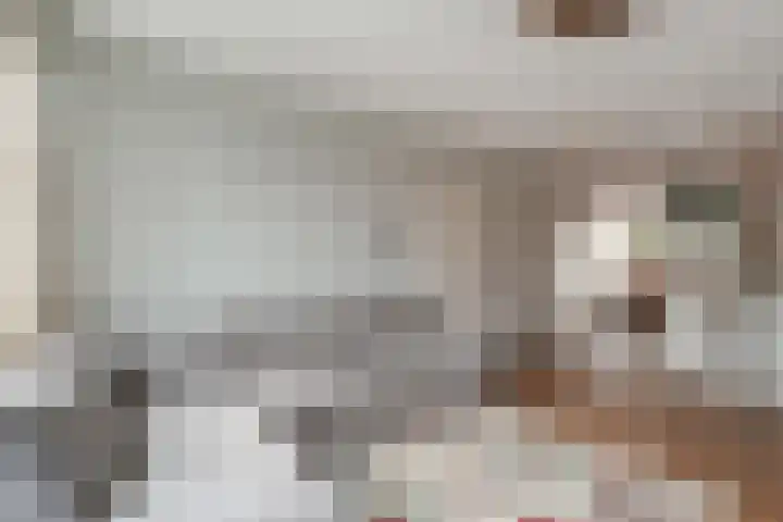 Sneekpad 30 Arnhem thumbnail 12