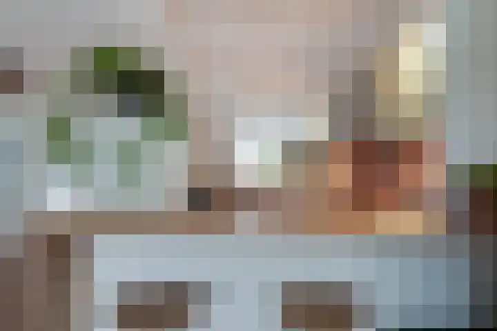 Sneekpad 30 Arnhem thumbnail 13