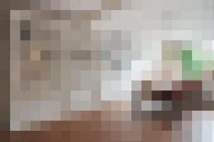 Sneekpad 30 Arnhem thumbnail 18