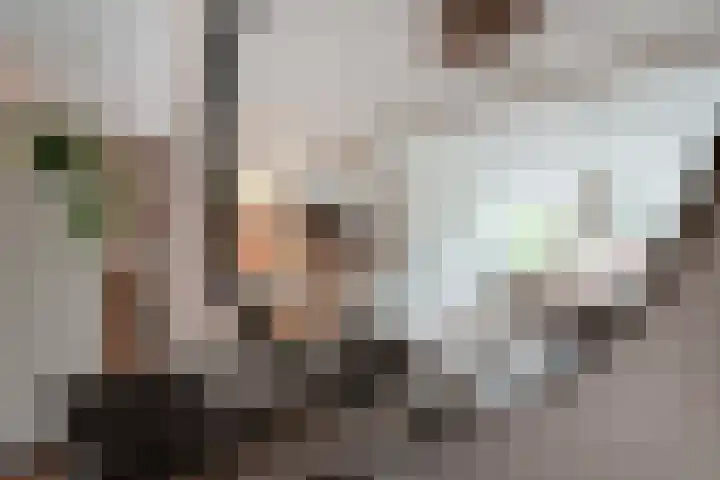 Sneekpad 30 Arnhem thumbnail 21