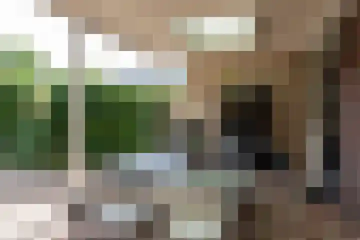 Sneekpad 30 Arnhem thumbnail 23
