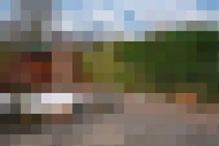 Sneekpad 30 Arnhem thumbnail 26
