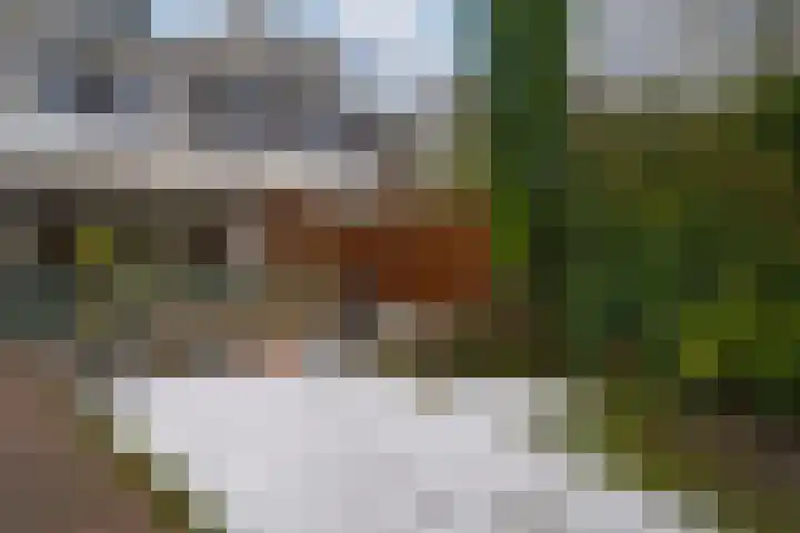 Sneekpad 30 Arnhem thumbnail 27