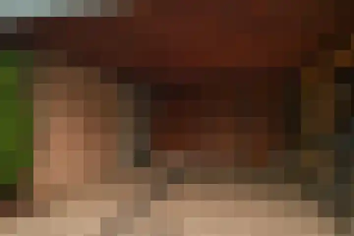 Sneekpad 30 Arnhem thumbnail 30