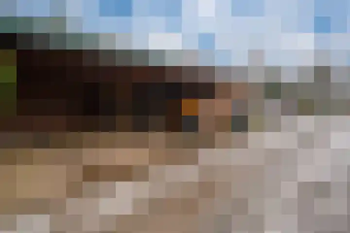 Sneekpad 30 Arnhem thumbnail 31