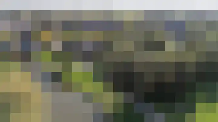 Sneekpad 30 Arnhem thumbnail 32