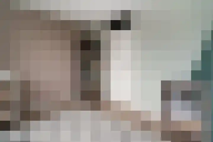 Sneekpad 30 Arnhem thumbnail 41
