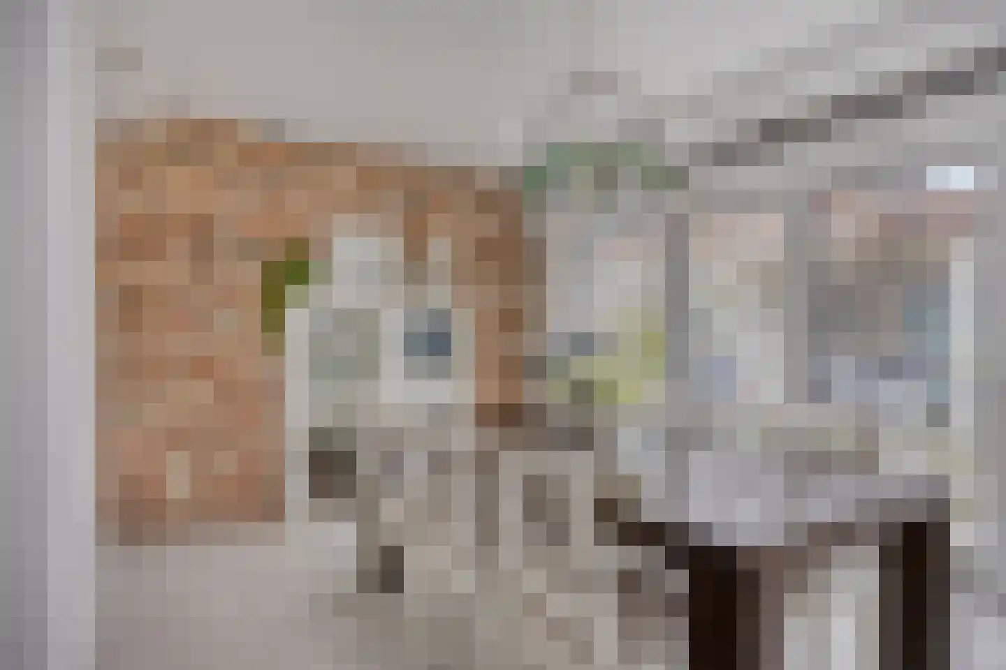 Sneekstraat 43 Tilburg thumbnail 15