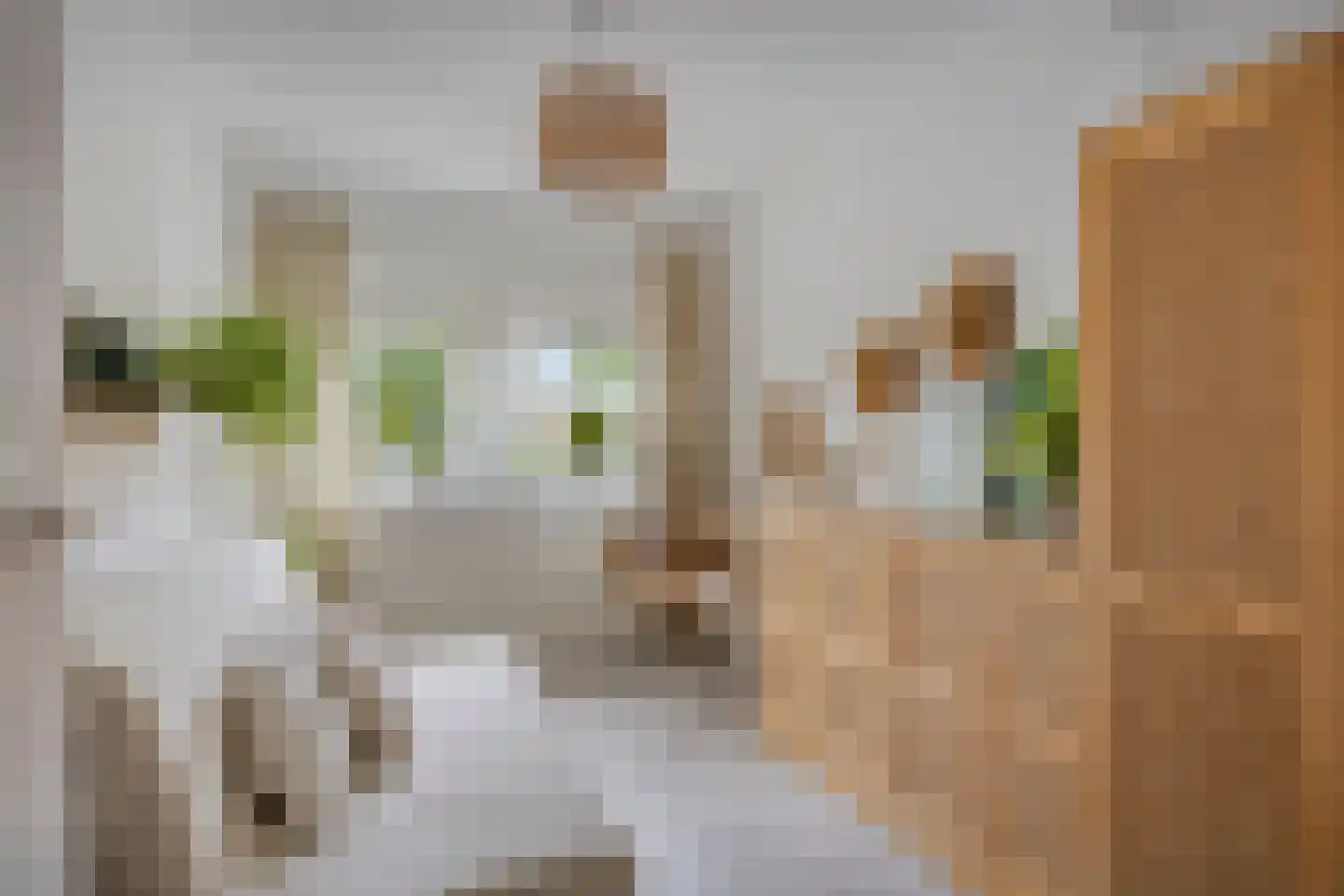 Sneekstraat 43 Tilburg thumbnail 23