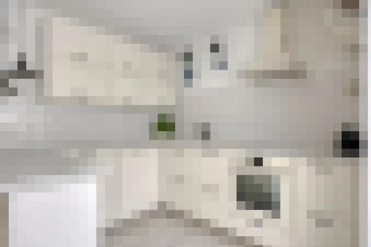 Sneekstraat 43 Tilburg thumbnail 4