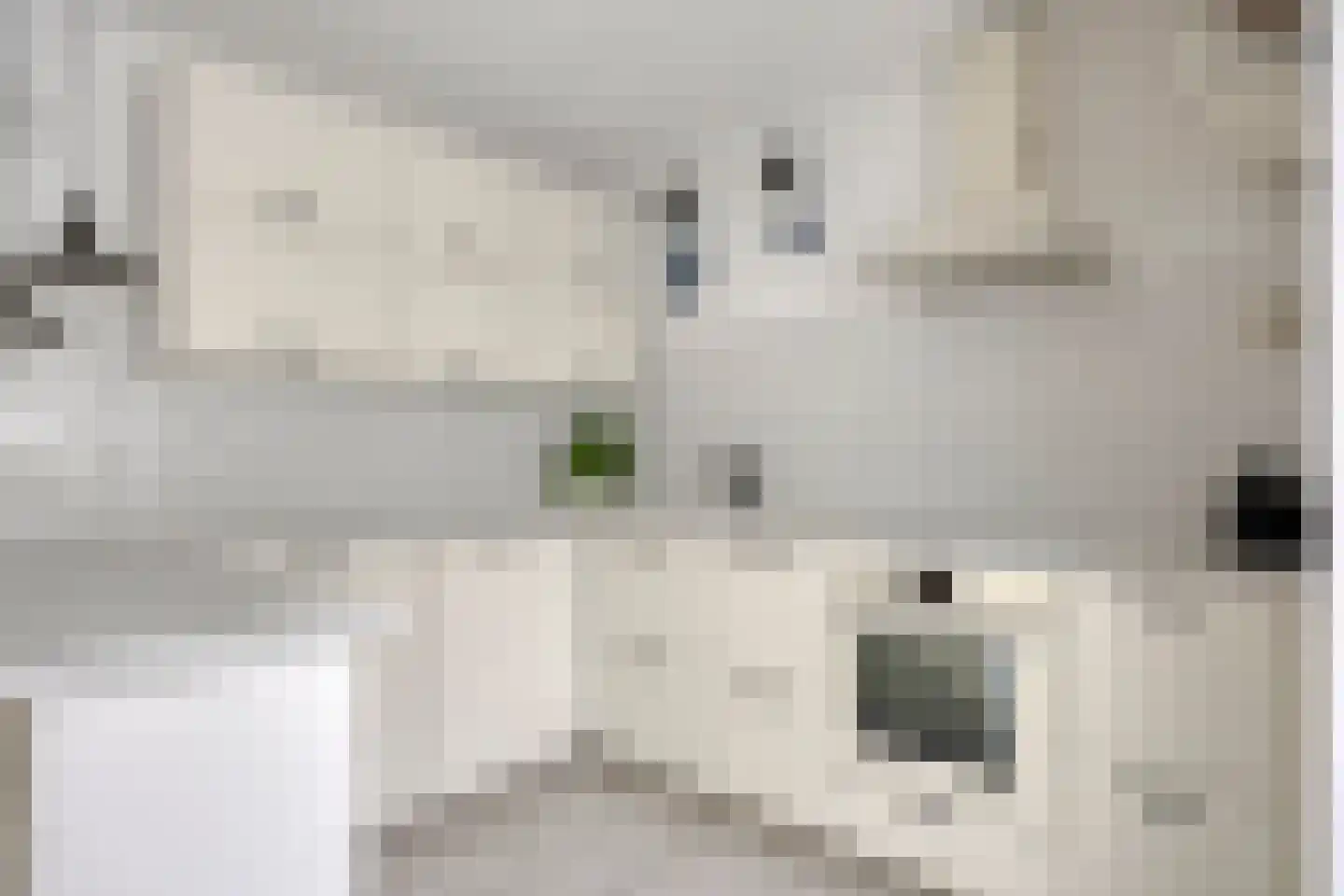 Sneekstraat 43 Tilburg thumbnail 4