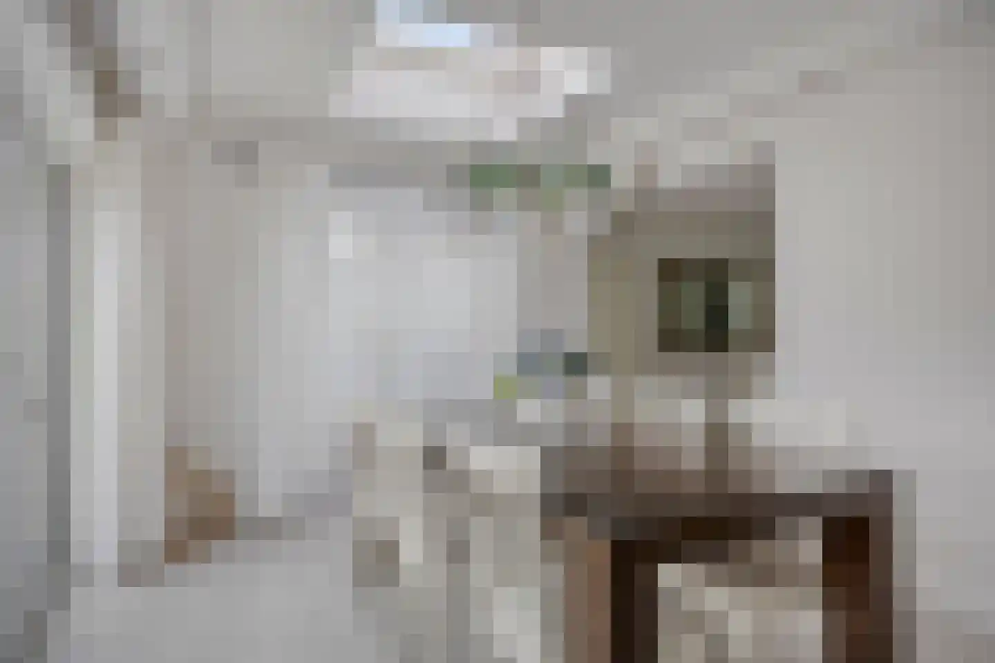 Sneekstraat 43 Tilburg thumbnail 5