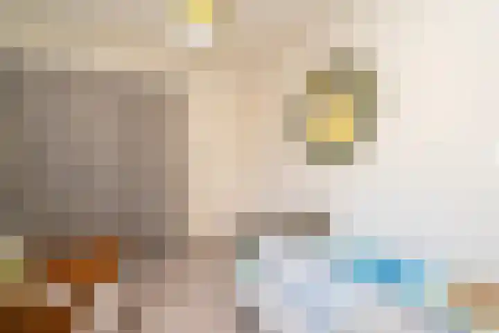 Sneekstraat 89 Tilburg thumbnail 39