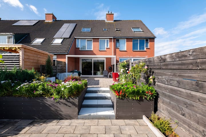 Sneeuwbal 18 dans Hellevoetsluis photo