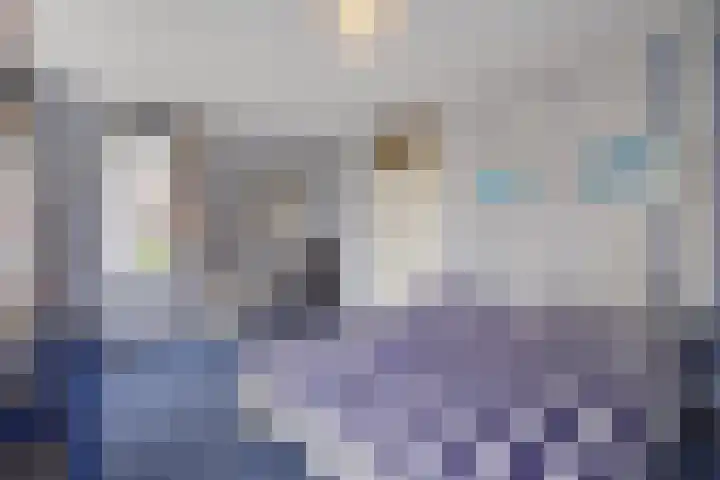 Sneeuwbalplein 10 Den Haag thumbnail 40