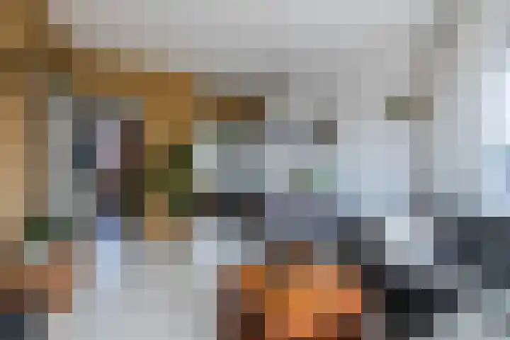 Sneeuwbalstraat 5 Nijmegen thumbnail 4