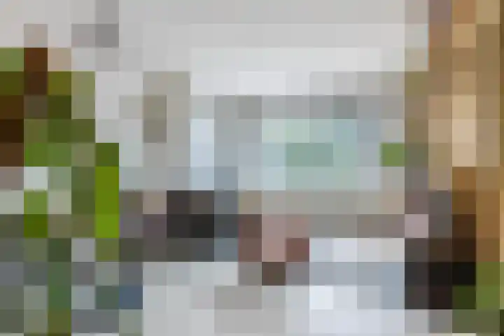 Sneeuwbalstraat 5 Nijmegen thumbnail 5